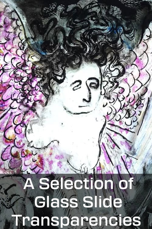 A Selection of Glass Slide Transparencies Poster