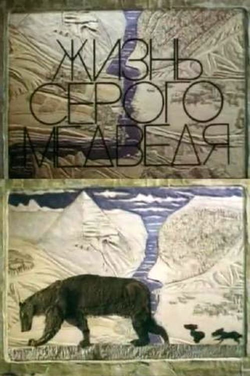 The Life Of A Grey Bear Poster