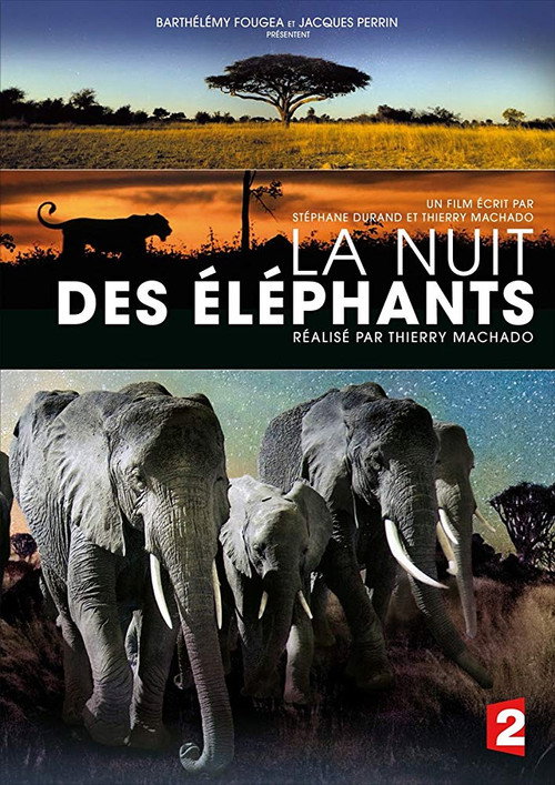 La Nuit des éléphants Poster