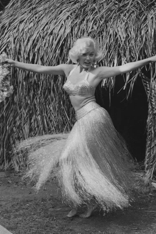 Hawaiian Nights Poster