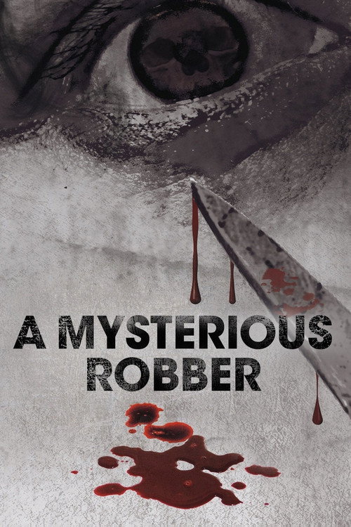 A Mysterious Robber Poster