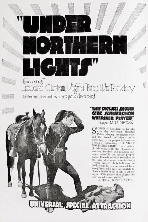 Under Northern Lights Poster