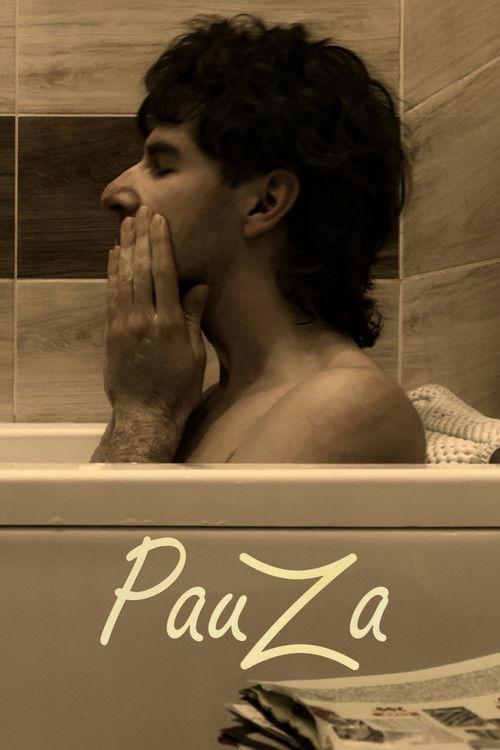 Pauza Poster