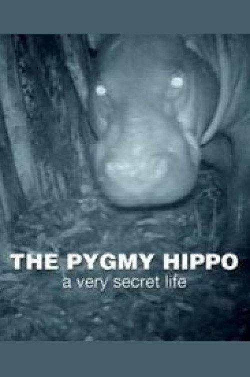 The Pygmy Hippo: A Very Secret Life Poster