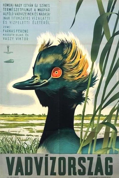 Vadvízország Poster