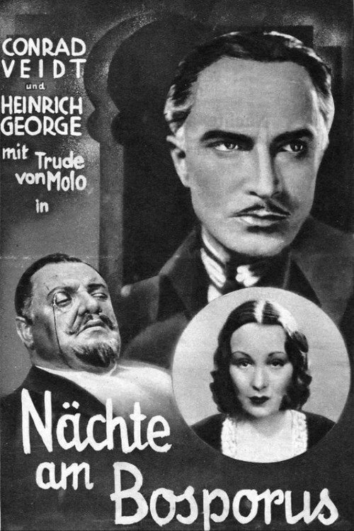 The Man Who Committed the Murder Poster
