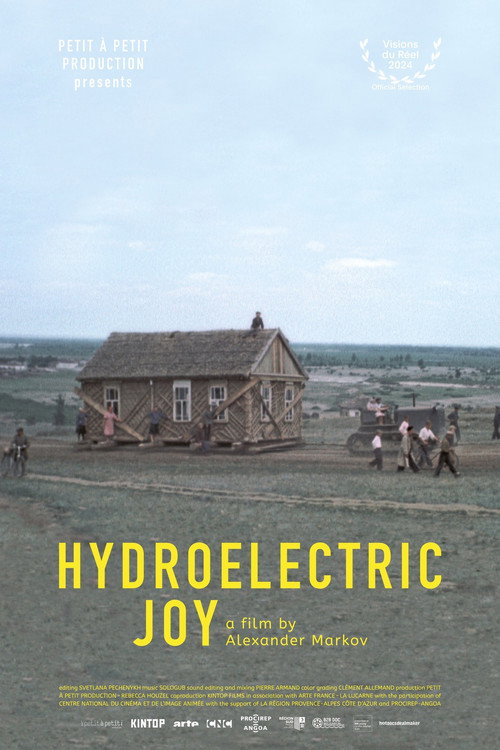 Hydroelectric Joy Poster