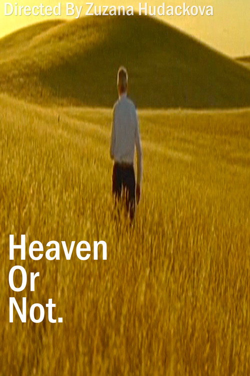 Heaven Or Not Poster