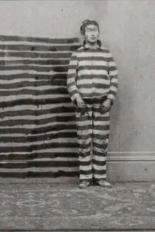 The Disintegrated Convict Poster