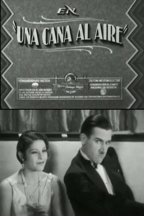 A gray in the air Poster