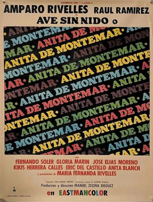 Ave sin nido Poster