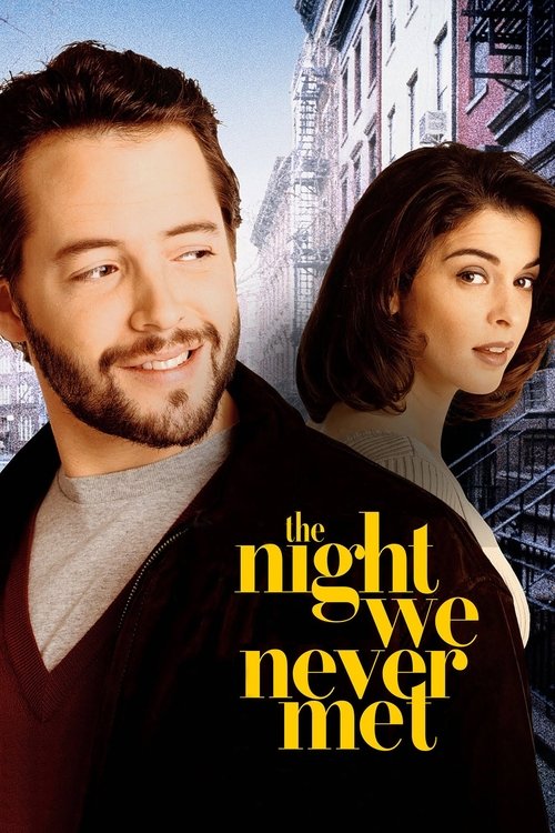 The Night We Never Met Poster