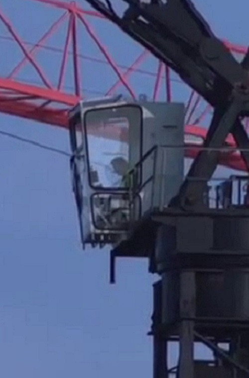 City of Cranes Poster