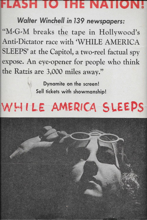 While America Sleeps Poster