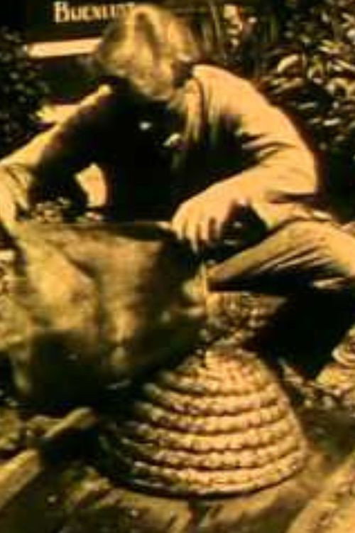 The Life of the Bees Poster