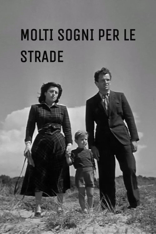 Woman Trouble Poster