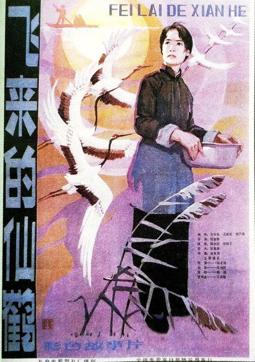 飞来的仙鹤 Poster