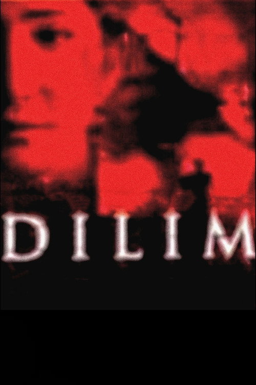 Dilim Poster