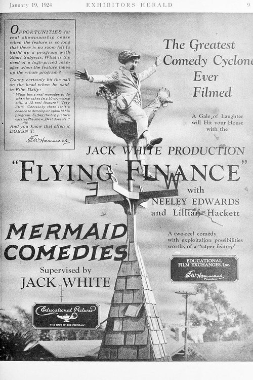 Flying Finance Poster