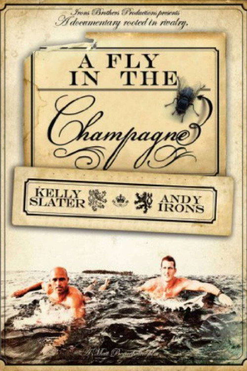 A Fly in the Champagne Poster