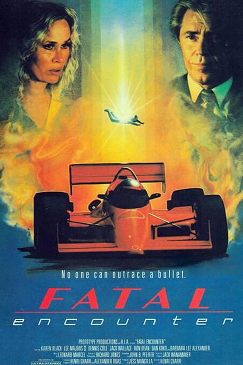 Fatal Encounter Poster