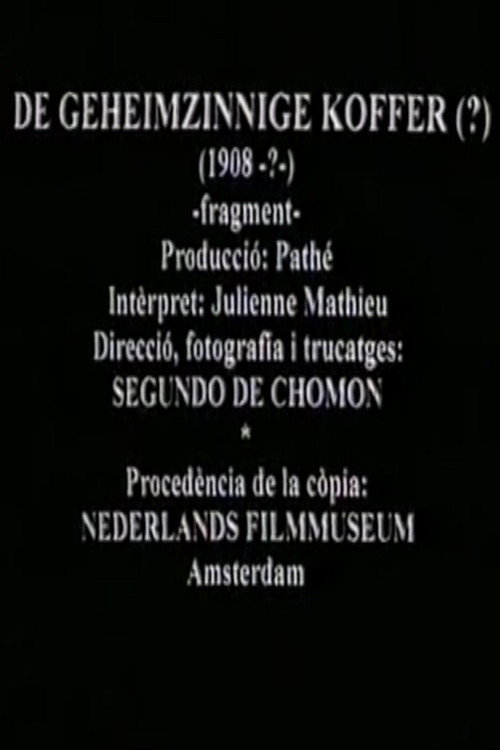 Secret Suitcase Poster