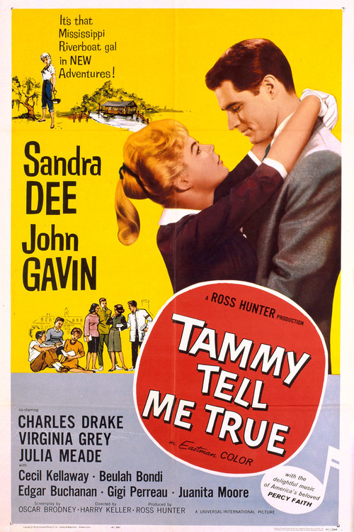 Tammy Tell Me True Poster