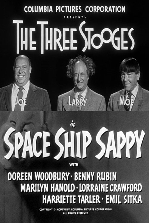 Space Ship Sappy Poster