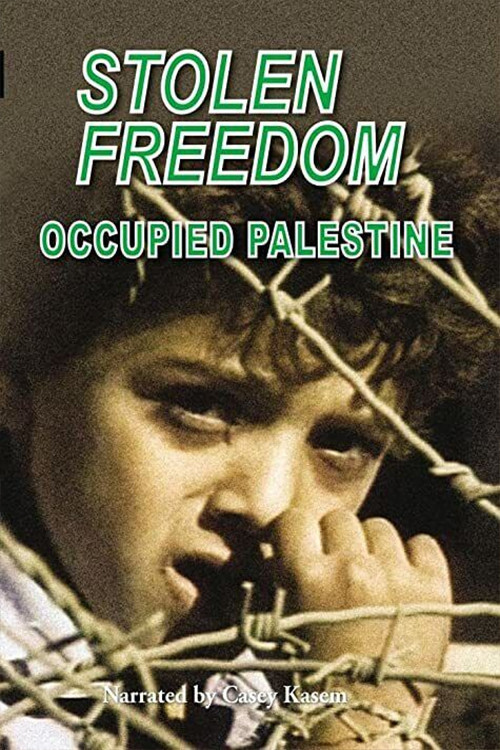 Stolen Freedom: Occupied Palestine Poster