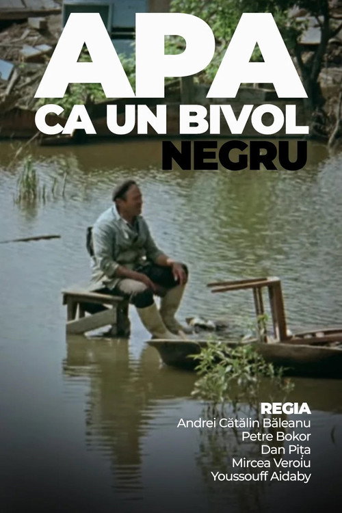 Water Like a Black Buffalo Poster