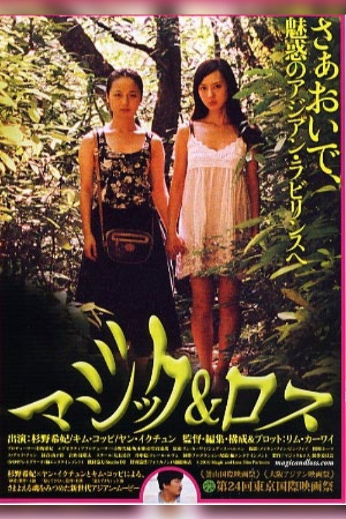 Magic and Loss Poster