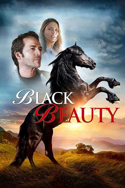 Black Beauty Poster