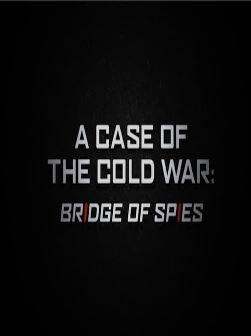 A Case of the Cold War: Bridge of Spies Poster