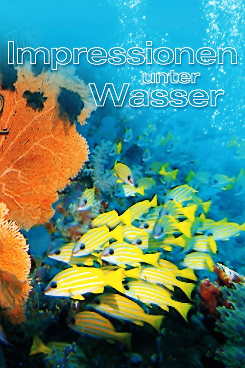 Underwater Impressions Poster