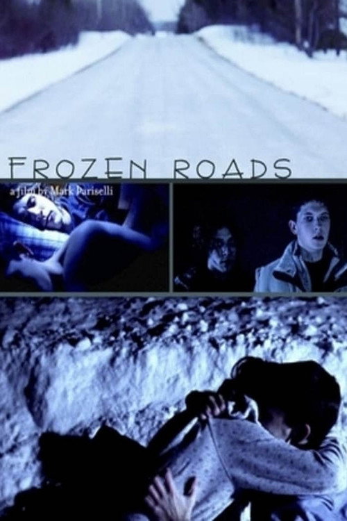 Frozen Roads Poster