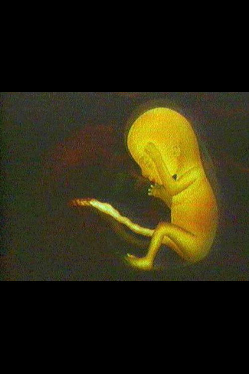 What is Life? Poster