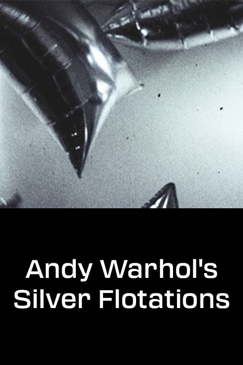 Andy Warhol's Silver Flotations Poster