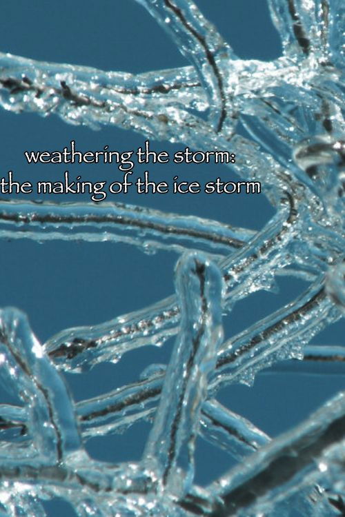 Weathering the Storm: The Making of The Ice Storm Poster