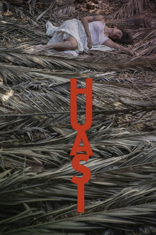 Huasi Poster