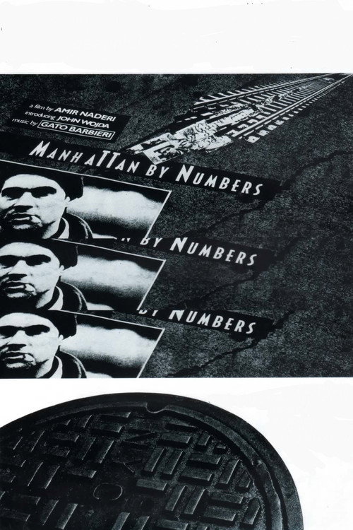 Manhattan by Numbers Poster