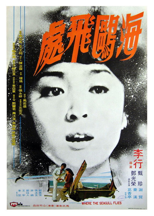 Where the Seagull Flies Poster