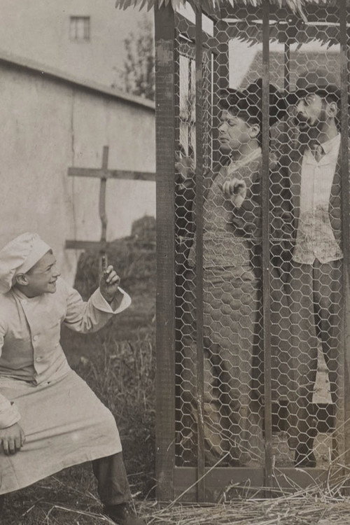 Pastry Cook's Pratical Jokes Poster