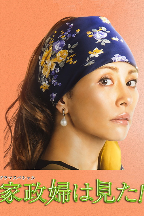 The Housekeeper Saw! Poster