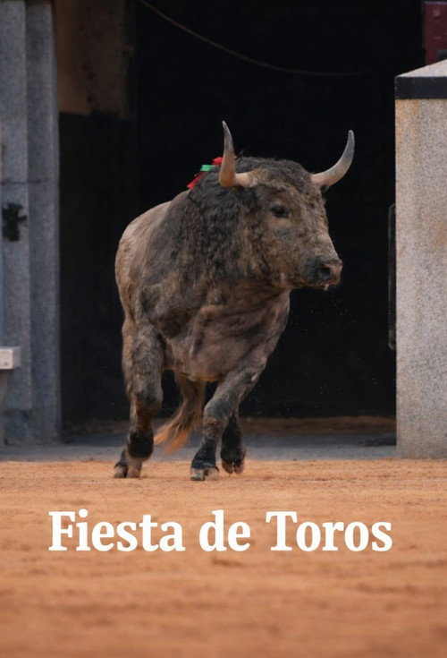 Fiesta de toros Poster