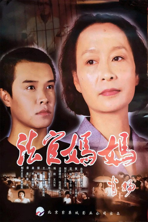法官妈妈 Poster