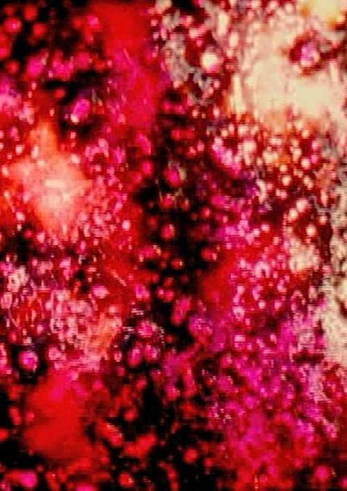 The Flickering of the Minds Eye Poster