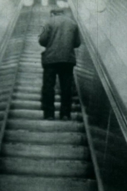 Passage du thermomètre Poster