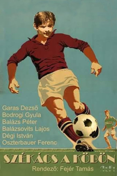 Székács a köbön Poster