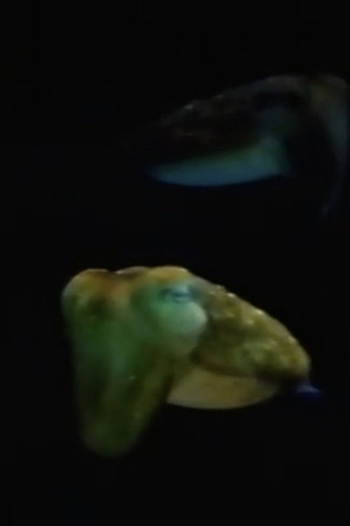 Aliens From Inner Space Poster