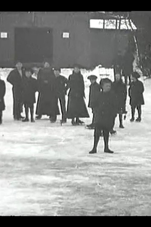 Skøjteløbning i Fredericia Poster